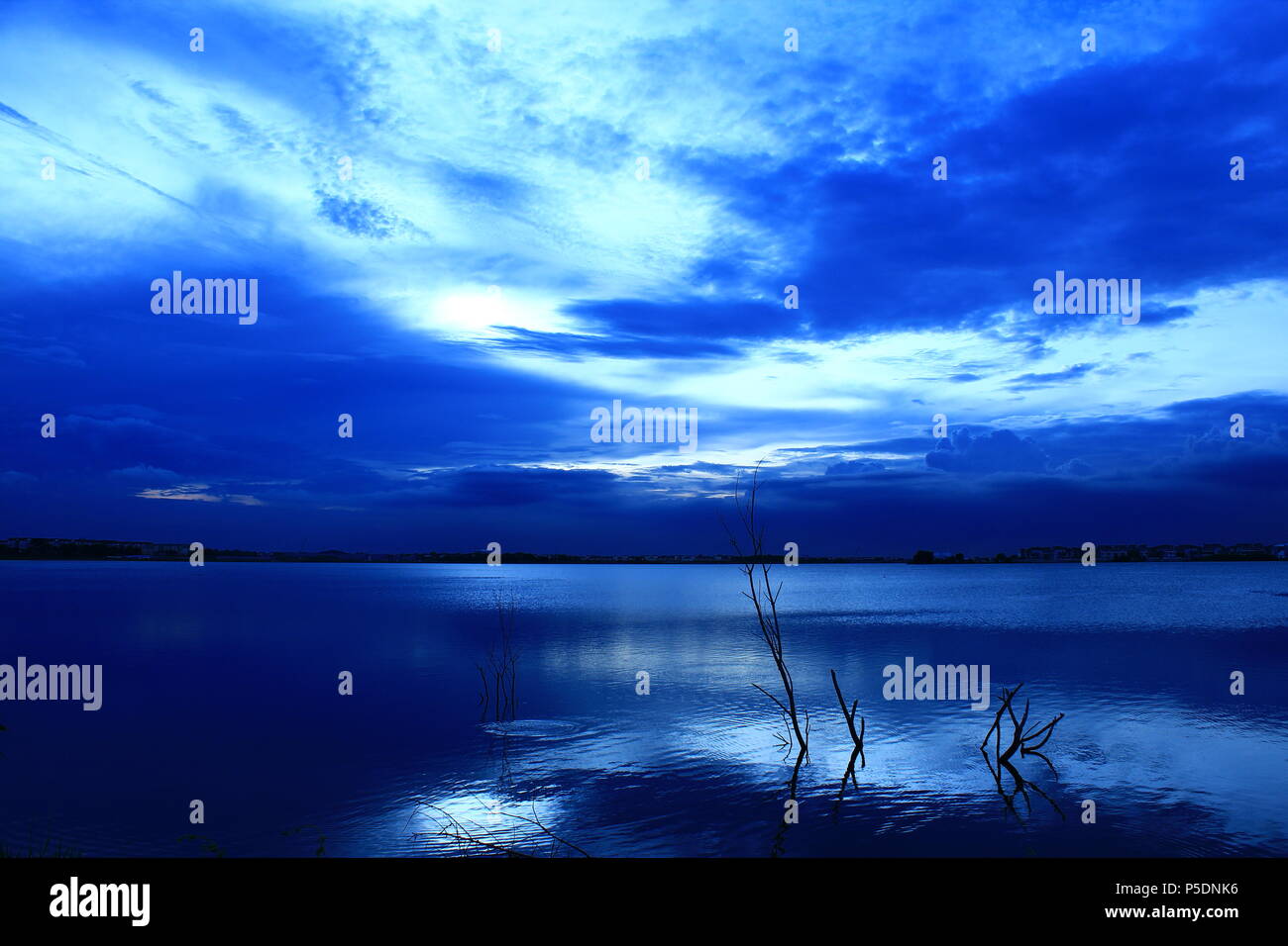 Blue Twilight Seeblick mit Blue Cloud und versenkt tote Bäume Stockfoto