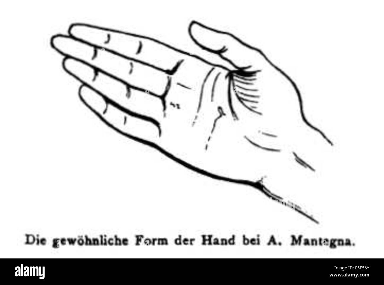N/A. Ivan Lermolieff (Pseudonym): Werke italienischer Meister sterben in den Galerien von München, Dresden und Berlin. Leipzig 1880. Bild Seite 105. 1880. Giovanni Morelli (* 25. Februar 1816, Verona; † 28. März 1891, Mailand) 453 sterben Werke italienischer Meister (Morelli) Bild Seite 105 Stockfoto