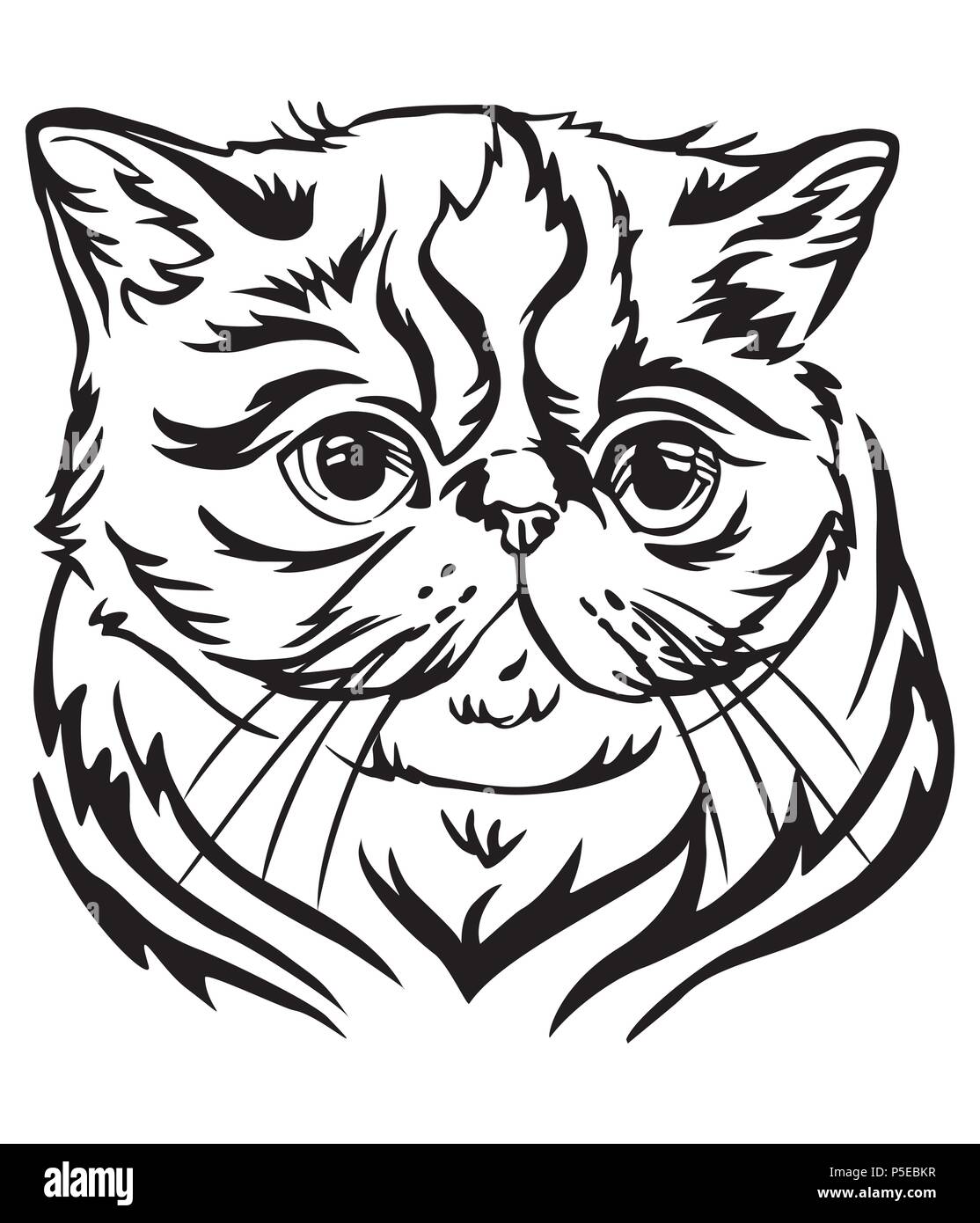 Dekorative Portrait im Profil der Exotic Shorthair Katze, Vektor isoliert Abbildung in schwarz auf weißem Hintergrund Stock Vektor