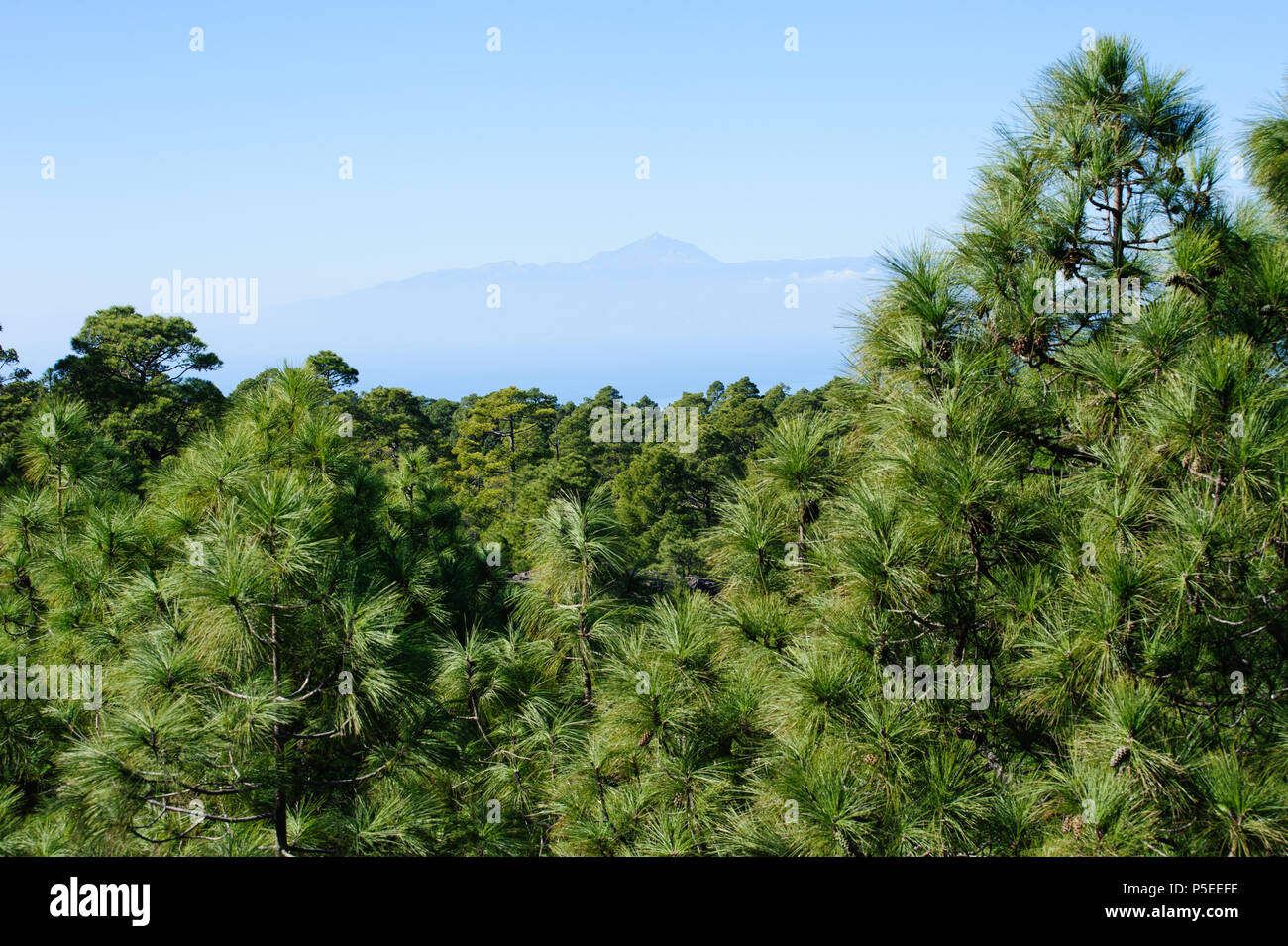 Schöne Aussicht form Gran Canaria auf Teide auf Teneriffa, Spanien Stockfoto