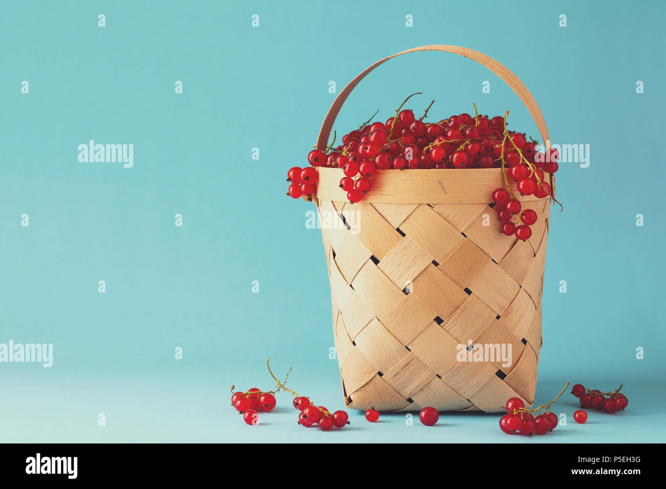 Frau hand Holz- korb mit Johannisbeeren auf blauem Hintergrund. Sommer Ernte. Gesunde Ernährung Konzept. Getönt Stockfoto