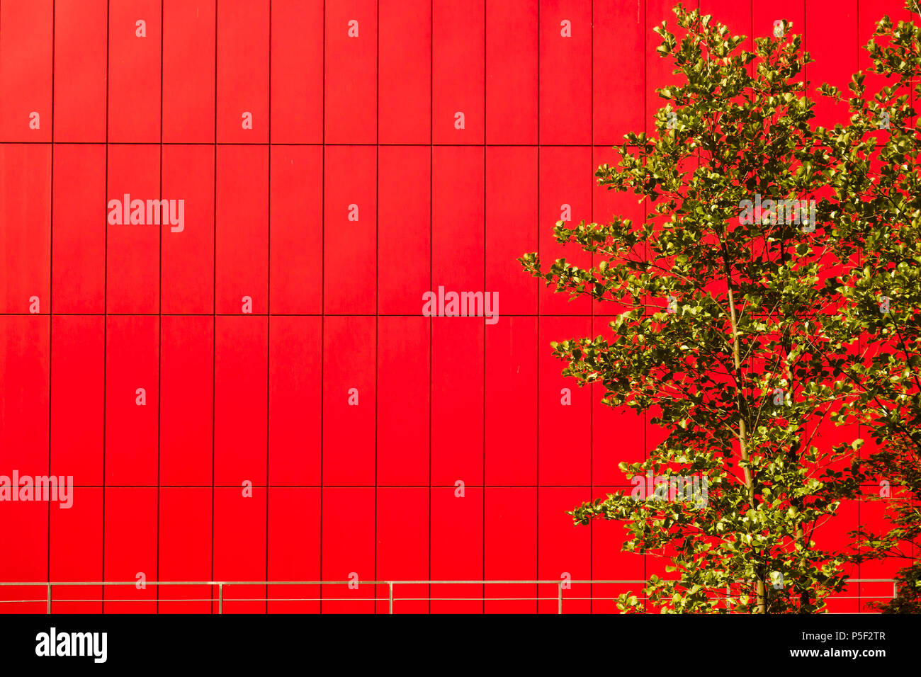 Rote Wand eines modernen Gebäudes und Grüner Baum auf einer Seite Stockfoto