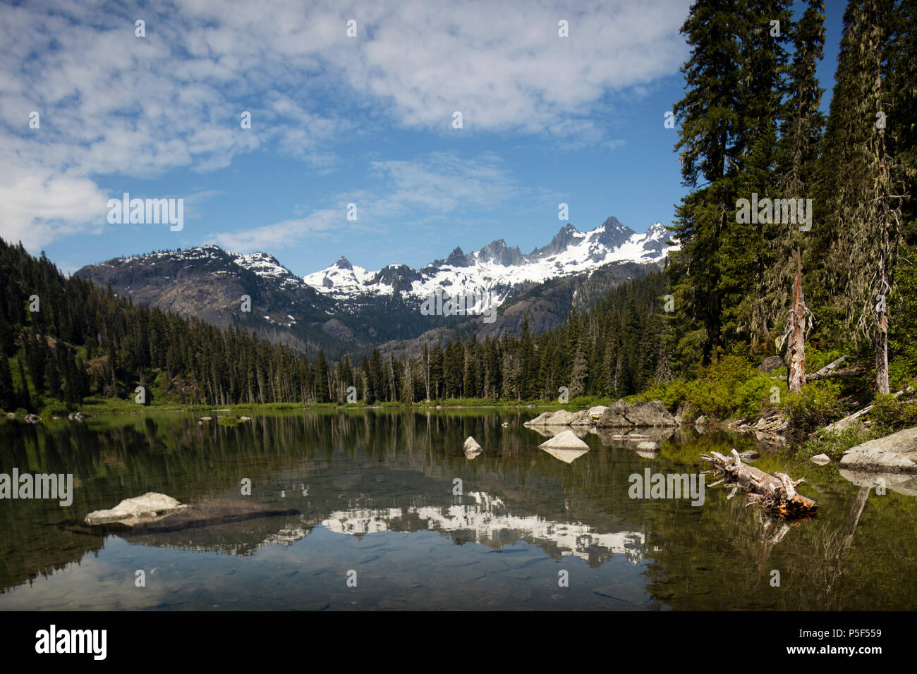 Alpine See im Zentrum von Washington Cascade Mountain Range Stockfoto