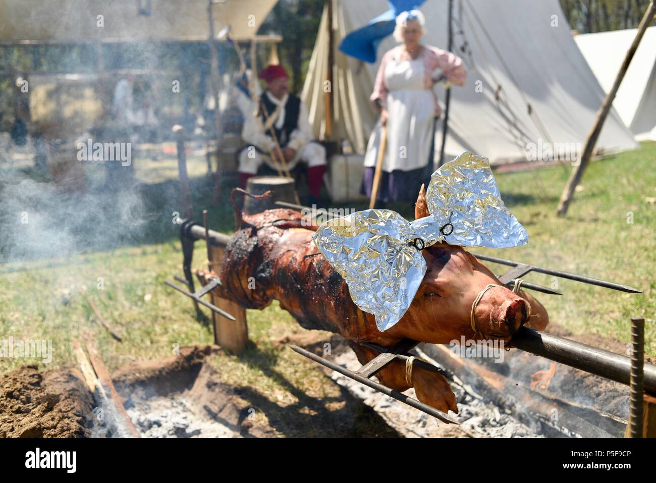 Kostümierte Re-enactors außen Zelt, langsam Braten ein ganzes Schwein im Freien über einem Lagerfeuer an der blutigen See Rendezvous, Woodford, WI, USA Stockfoto