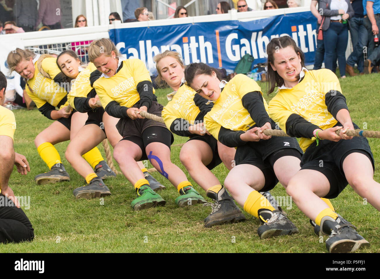 Meine Damen Tauziehen Team - Ayr junge Landwirte - Sieger der Damen Tauziehen nationalen Wettbewerb des Royal Highland Show 2018 Stockfoto