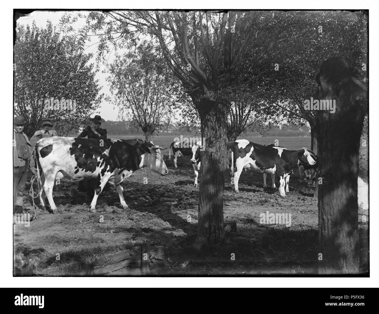 N/A. Deutsch: Beschreibung Abcoude e.o Documenttype foto Vervaardiger Olie, Jacob (1834-1905) Collectie Collectie Jakob Olie Jbz. Mei 1899 Datering Inventarissen Http://stadsarchief.amsterdam.nl/archief/10019 Afbeeldingsbestand 010019001226 erzeugt mit Dememorixer. Mai 1899. Jakob Olie (1834-1905) Alternative Namen Jakob Olie Jbz. Jakob Olie Jbzn. Beschreibung der niederländische Fotograf Geburtsdatum / Tod 19. Oktober 1834 25. April 1905 Ort der Geburt / Todes Amsterdam Amsterdam arbeiten Zeitraum 1847-1905 Arbeit Standort Amsterdam (1847-1905), Abcoude (1886-1890) Behörde: Stockfoto