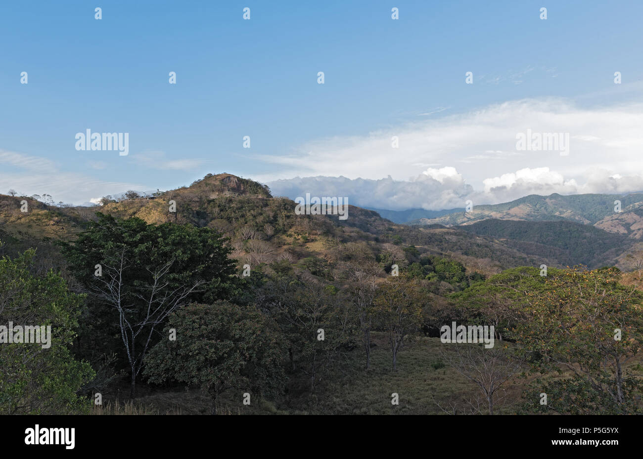 Querformat in Monteverde Cloud Forest Reserve, Costa Rica Stockfoto