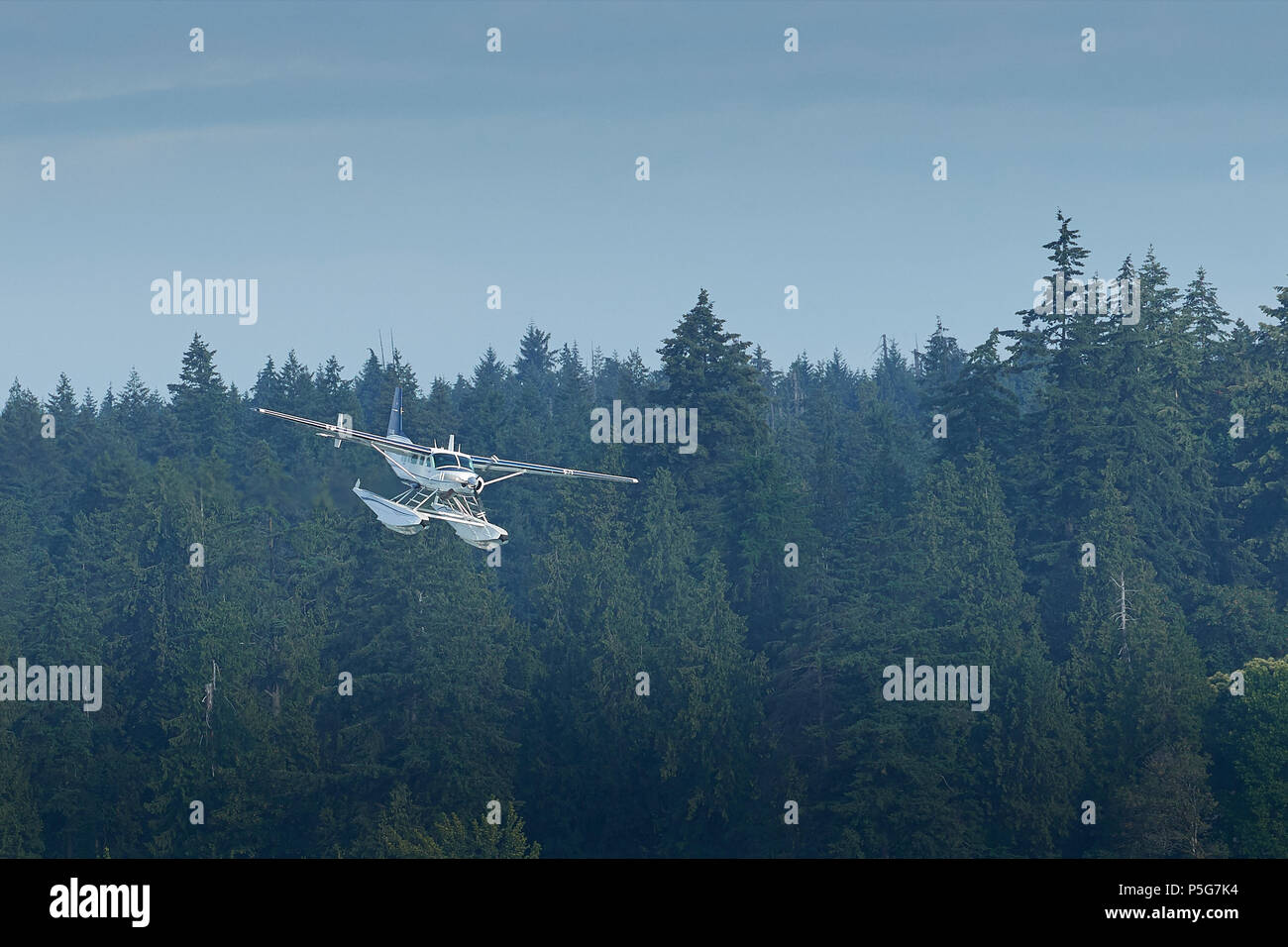 Seair Wasserflugzeuge Cessna 208 Caravan Wasserflugzeug nähert sich der Flughafen Hafen von Vancouver, British Columbia, Kanada. Stockfoto