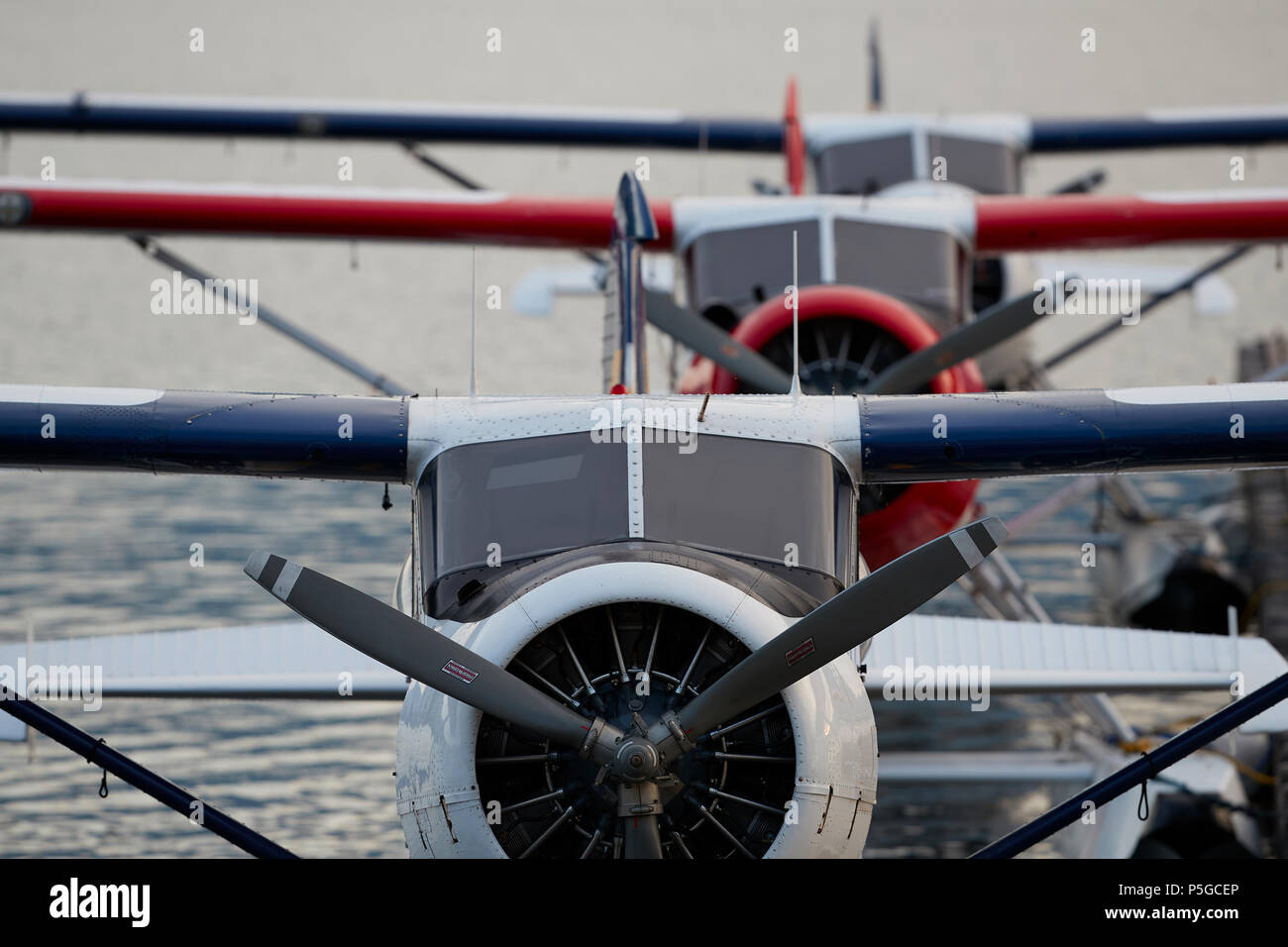 Vintage Harbour Air Wasserflugzeuge de Havilland Canada DHC-2 Beaver Wasserflugzeug Flotte festgemacht an der Vancouver Harbour Flight Center, BC, Kanada. Stockfoto