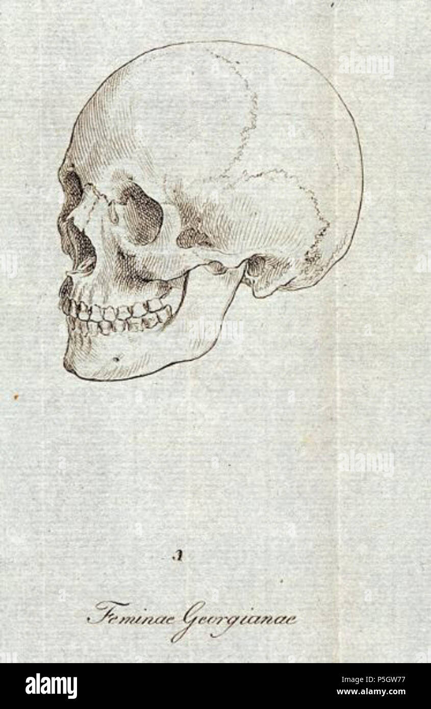 N/A. Englisch: Zeichnung von Johann Friedrich Blumenbach der Schädel eines georgischen Weiblich, als Muster für die 'kaukasischen Rasse' verwendet in seinem De generis humani varietate im Jahre 1795 veröffentlicht. 1795. Johann Friedrich Blumenbach (Life Time: 1755-1842) 211 Blumenbach-Caucasian Stockfoto