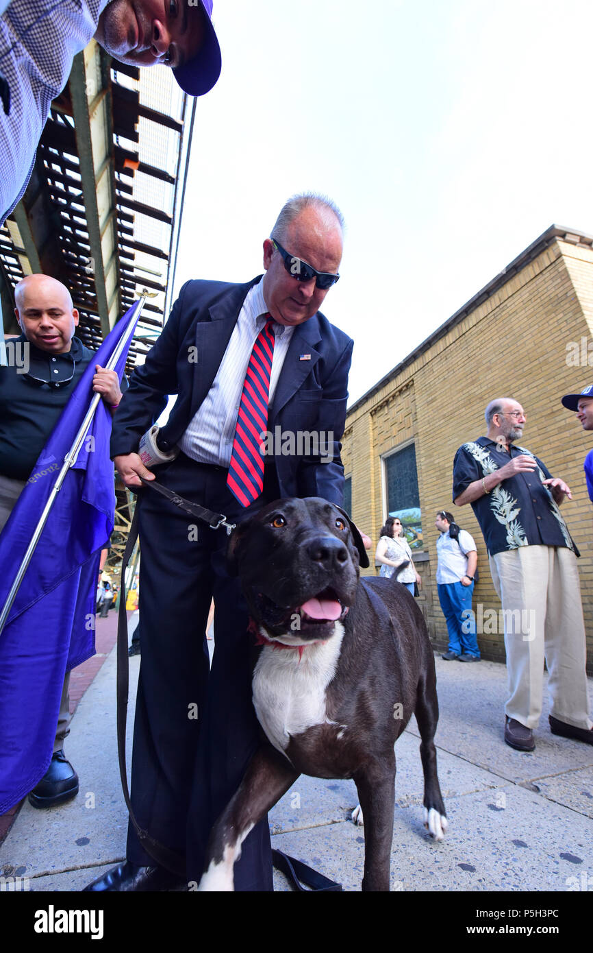 New York City, USA. 25. Juni 2018. Recht & Ordnung Konservativen William Kregler, mit Service Hund, Buster, wendet sich gegen die Ziele der Rallye. Mehr als dreihundert Queens Bewohner, Aktivisten, politischen und Gemeindeleiter reagierte auf NY City Council Mitglied für Königinnen Jimmy Van Bramer's Call in St. Sebastian Kirche in Sunnyside, Queens, zu sammeln, zu sammeln und im Namen der eingewanderten Familien, die abgesehen von Washingtons Politik in Bezug auf die Behandlung von illegalen Einwanderern abgerissen wurden. Credit: Andy Katz/Pacific Press/Alamy leben Nachrichten Stockfoto