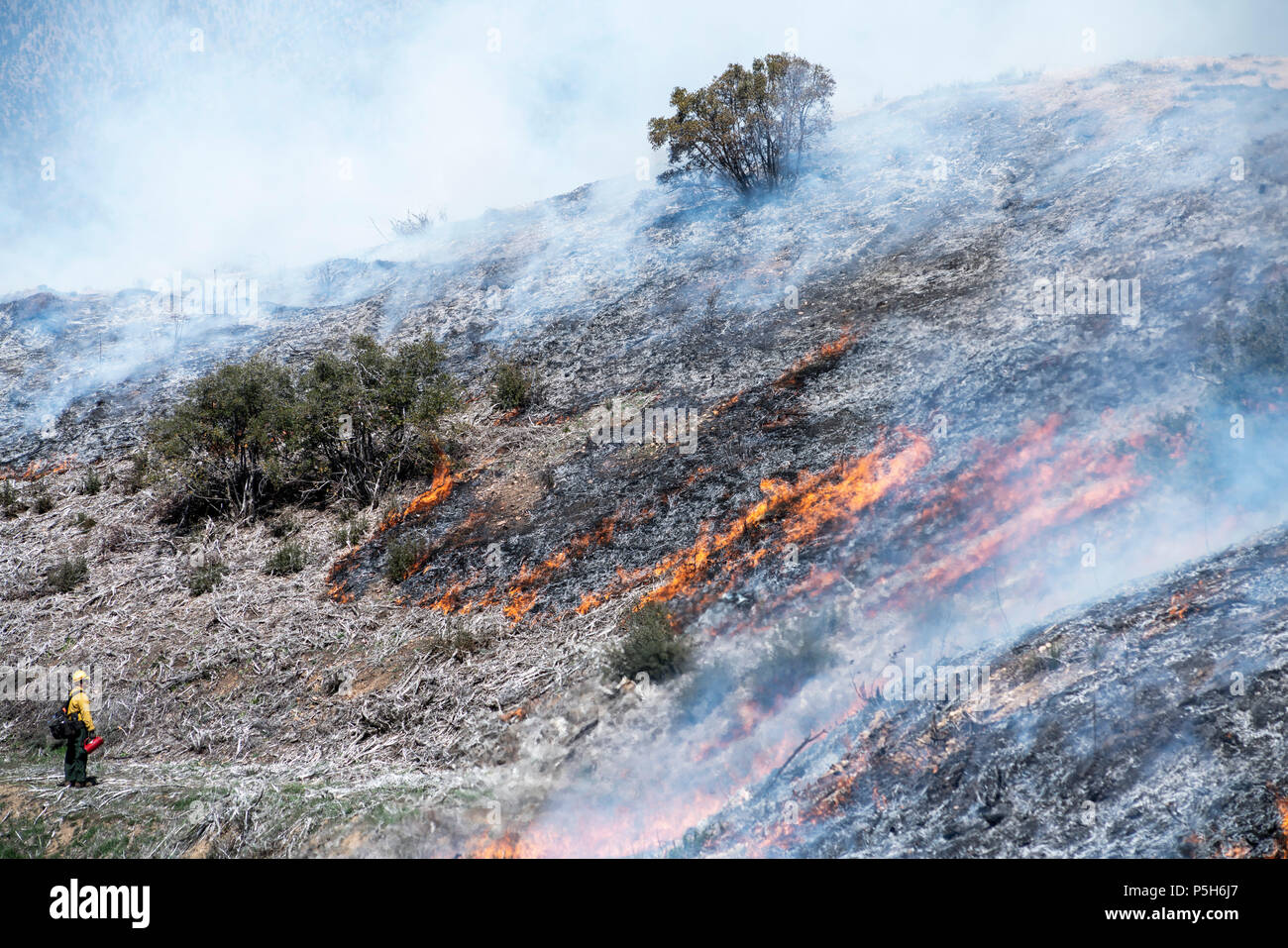 ANGELES National Forest, CA - 29. März: Eine kontrollierte in Angeles National Forest, Kalifornien am 29. März 2018 zu brennen. Stockfoto