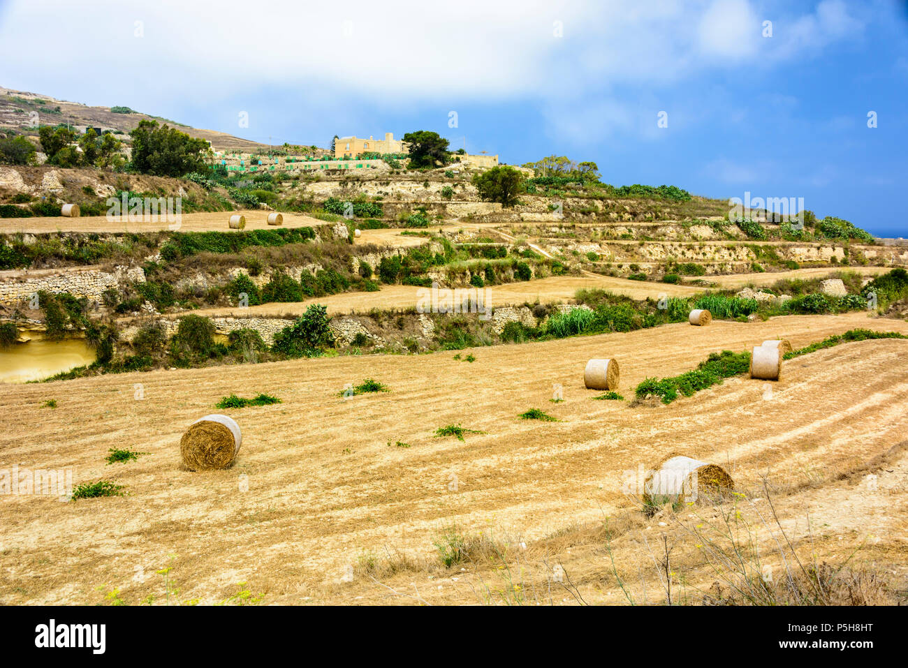 Hügel mit terrassierten Feldern für Landwirtschaft mit Heuballen, Gozo, Malta. Stockfoto