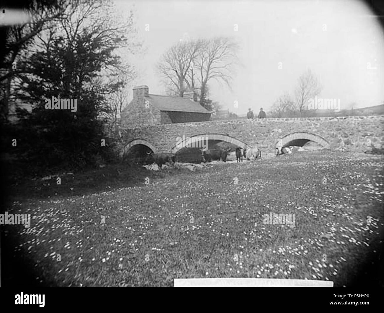 [Aber - erch Brücke] [Graphic].. 1 Negativ: Glas, trockenen Platte, b&w, 16,5 x 21,5 cm. ca. 1885. Thomas, John, 53 Aber - erch Brücke NLW 3360971 Stockfoto
