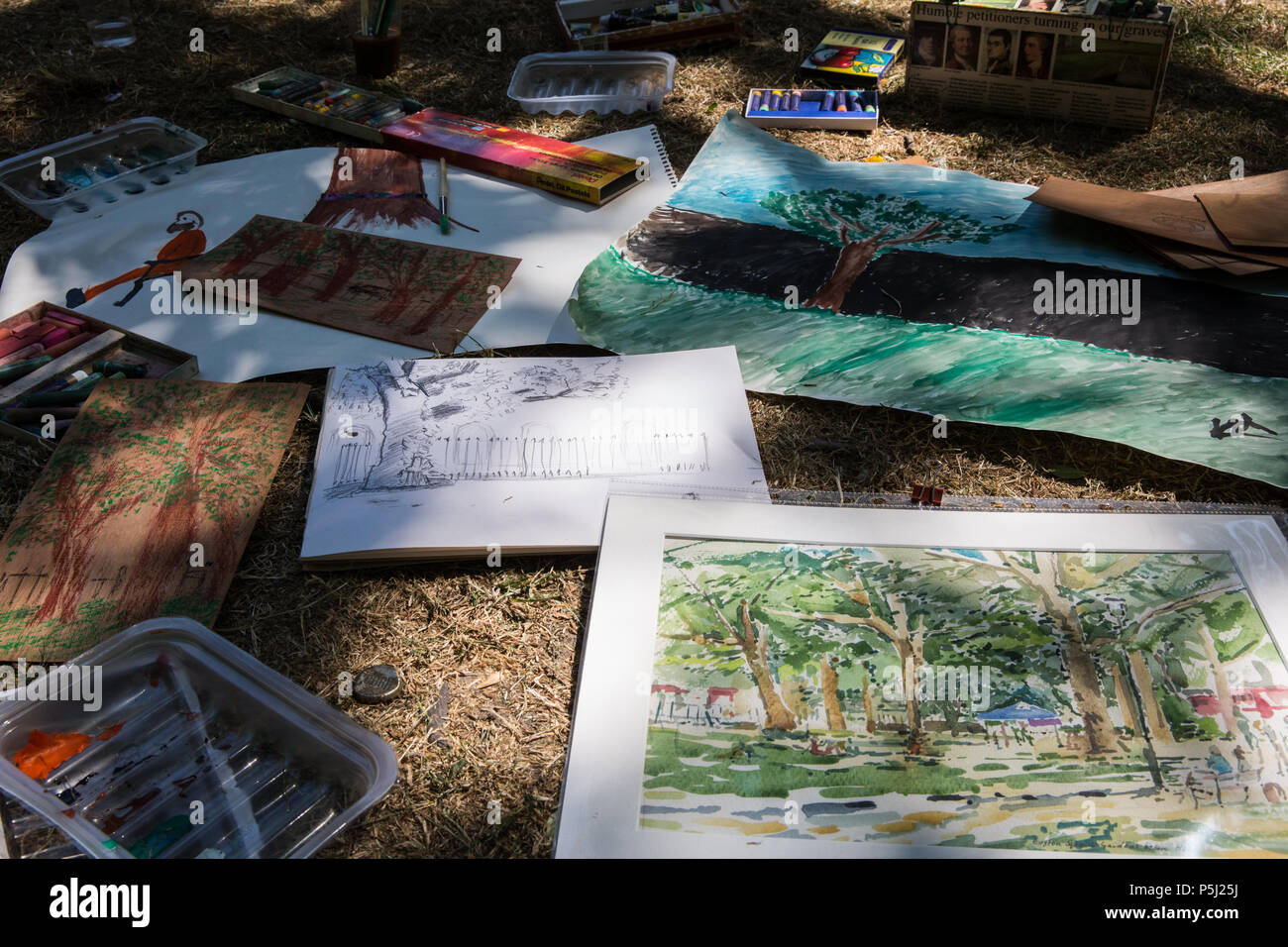 London, Großbritannien. Juni 2018. Anwohner protestieren mit Kunst gegen den Abschlag von reifen Londoner Plane, Red Oak, Common Lime, Common Whitebeam und Wild Service Bäumen in Euston Square Gardens, um Platz für temporäre Baustellen und einen verdrängten Taxistand im Rahmen der Vorbereitungen für die HS2 Bahnstrecke zu machen. Der Protest, bei dem Bilder von Bäumen auf Papier mit verschiedenen Techniken aufgenommen wurden, wurde von dem Künstler Dan Llywelyn Hall als "The Last Stand Against the Environmental Damage of HS2" veranstaltet. Kredit: Mark Kerrison/Alamy Live Nachrichten Stockfoto