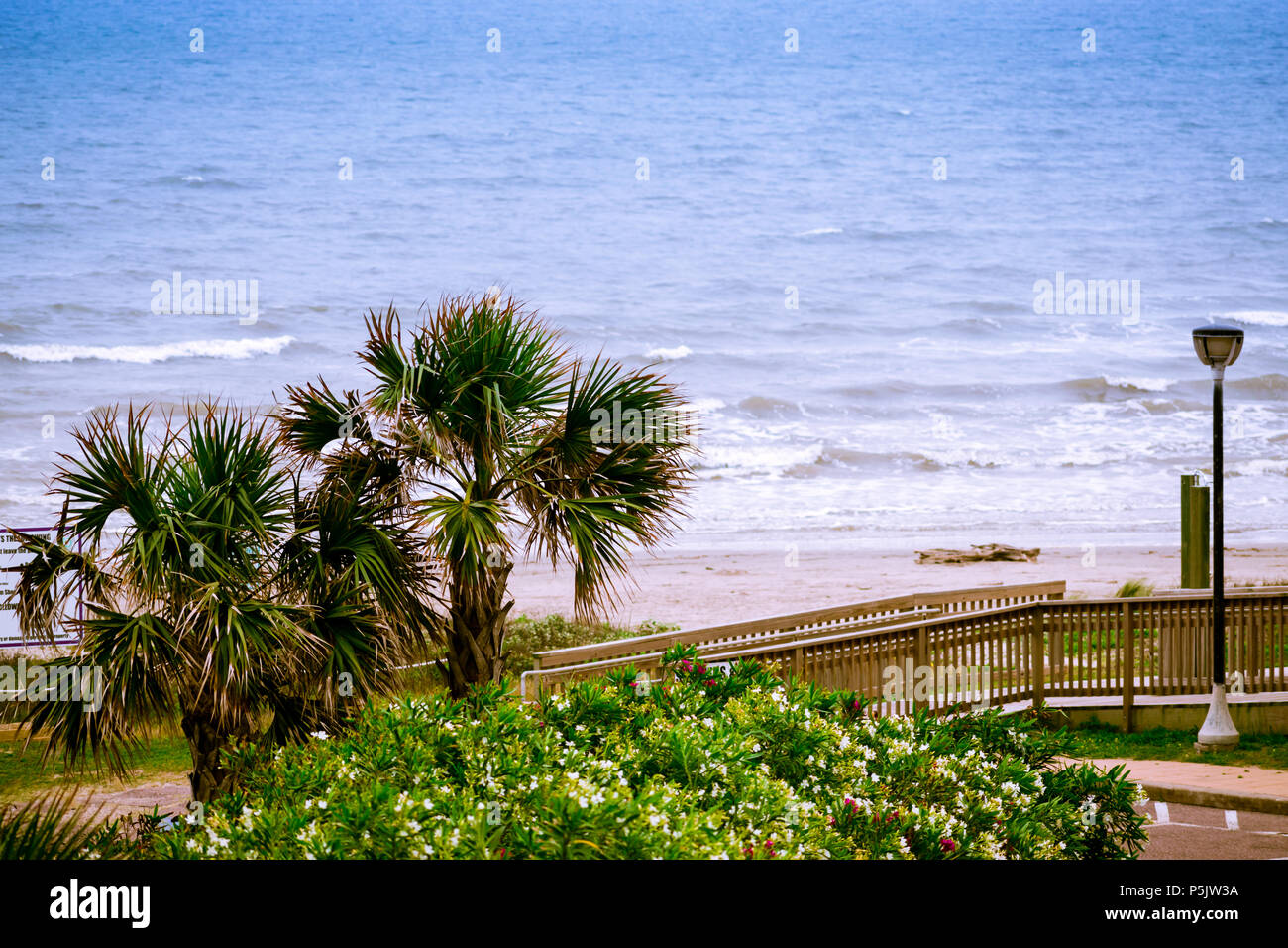 Blick auf die Promenade, Palmen, Strand und Golf von Mexiko von hotel Balkon auf Galveston Island, Texas Stockfoto