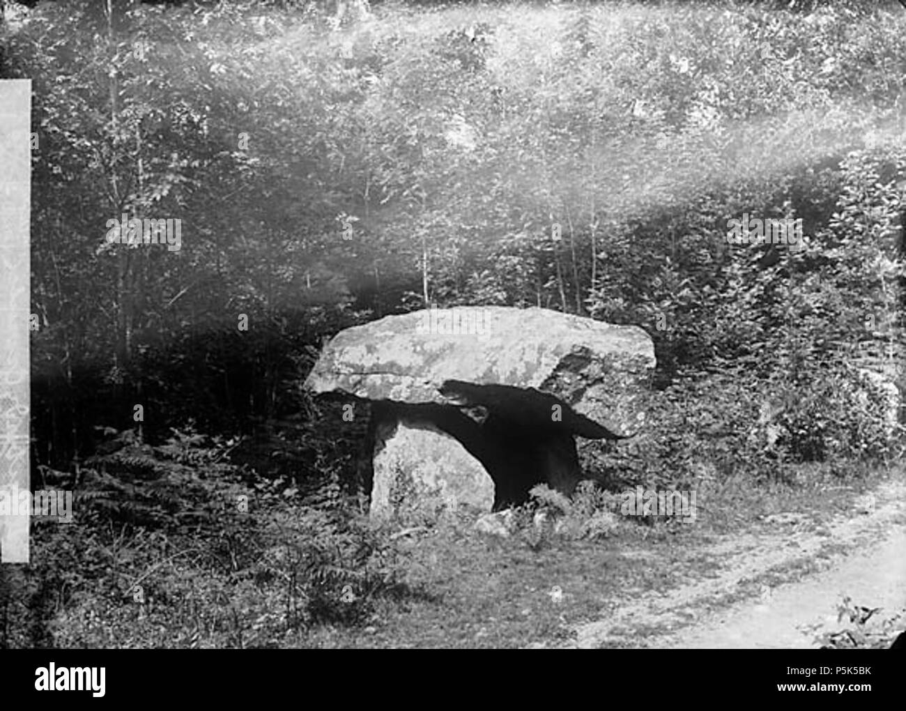 [Ein cromlech, Llanbodiy] [Graphic].. 1 Negativ: Glas, trockenen Platte, b&w; 12 x 16,5 cm. ca. 1885. Thomas, John, 43 ein cromlech, Llanbodiy NLW 3363331 Stockfoto