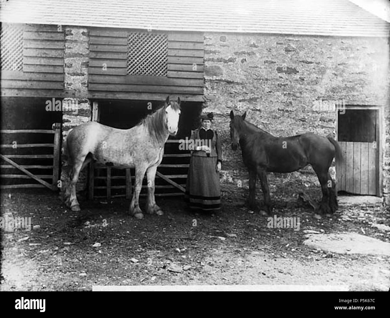 [Eine Frau mit zwei Pferde] [Graphic].. 1 Negativ: Glas, trockenen Platte, b&w, 16,5 x 21,5 cm. ca. 1885. Thomas, John, 48, eine Frau mit zwei Pferden NLW 3361266 Stockfoto