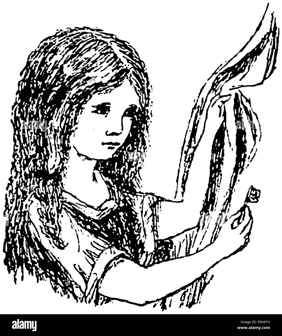 51 AAUG p06 Stockfoto