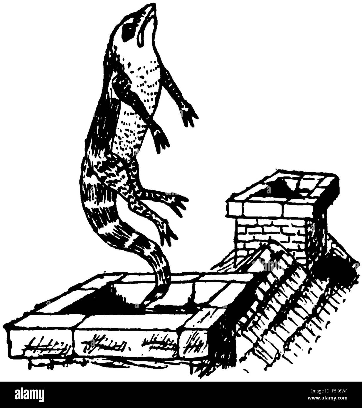 51 AAUG p43 Stockfoto