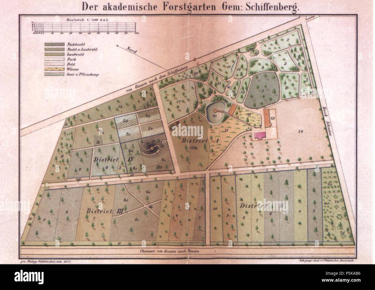 N/A. English: Plan des Akademischen Forstgartens Gießen von 1877. Sterben mit'-Chaussee von Giessen / Hausen' bezeichnete Straße an der Kartenbasis ist heute der Schiffenberger Weg (L 3131). Eine dem Abzweig von der Straße in der Park (in der Zeichnung nach oben) befindet sich heute eine Bushaltestelle 50°3328 N 8° 4248E / 50.55769°N 8.713255°E / 50.55769; 8.713255 (Name: Gießen Forstgarten). 1877. Der Garten wurde 1870 und 1877 durch die Geometer Walther und Buttron vermessen, die Karte vom Studenten der Kameralistik Philipp Walther gezeichnet 71 Akademischer Forstgarten Giessen Plan Stockfoto