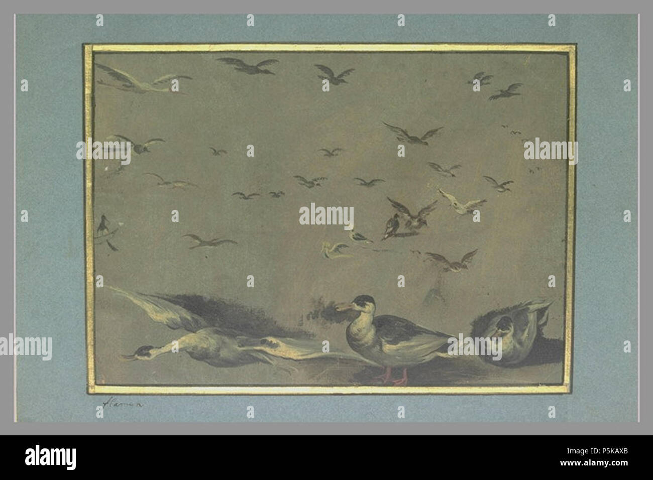 Englisch: Studium der Vögel zwischen 1635 und 1692. N/A73 Albert Flamen - Studium der Vögel Stockfoto