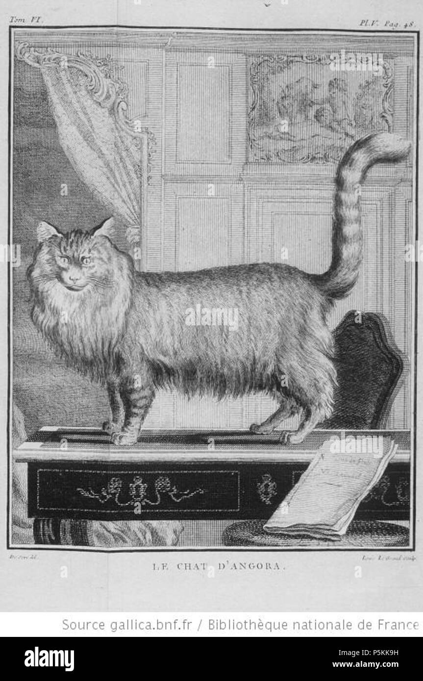N/A. Français: Le Chat d'Angora, Illustration de Histoire Naturelle générale et particulière avec la Beschreibung du Cabinet du Roy, tome VI, Georges Louis Leclerc, comte de Buffon. 1756. (Buvée dessinateur)/Louis Le Grand (graveur) 102 Angora Turc-Comte de Buffon Stockfoto