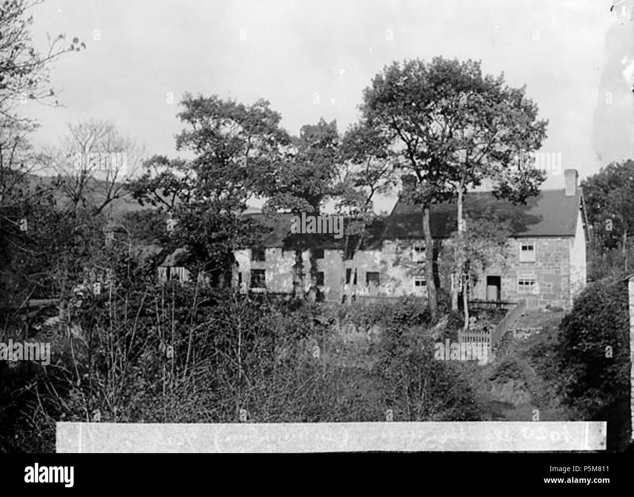 [Herbst Sonne, Llanbryn - Mair] [Graphic].. 1 Negativ: Glas, trockenen Platte, b&w; 12 x 16,5 cm. ca. 1885. Thomas, John, 154 Herbst Sonne, Llanbryn - mair NLW 3363586 Stockfoto