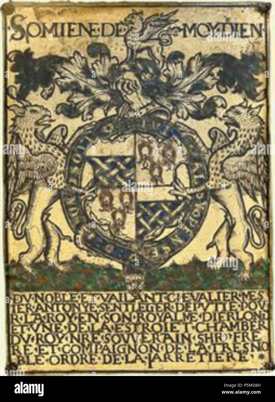 N/A. Englisch: Strumpfband stall Platte von Sir Anthony St Leger (d 1559), Ritter der Strumpfband, Herr Abgeordneter von Irland. St George's Kapelle, Schloss Windsor. Oben mit Motto: SOMIENE DE MOY DIEN (anscheinend Französischen entstellt, evtl. für souviens de Mon Dieu", Ich erinnere mich an mein Gott"). An der Basis in semi-Analphabeten Französisch (d. h. mit grundlegenden Fehlern in Gender): Du noble et vailant Chevalier mesier Antonye Sentleger Deputie pour la Roy en Sohn royalme d'Ierlond et une de la estroiet Kammer du Roy NRE (n (ot) re) compaignon souverain SHR Frere et de la Tres edle Ordre de la Jarretiere (' des Edlen und Vali Stockfoto