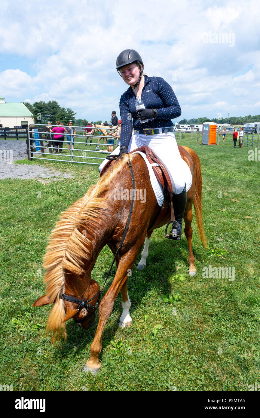 Springen Show Champion Stockfoto