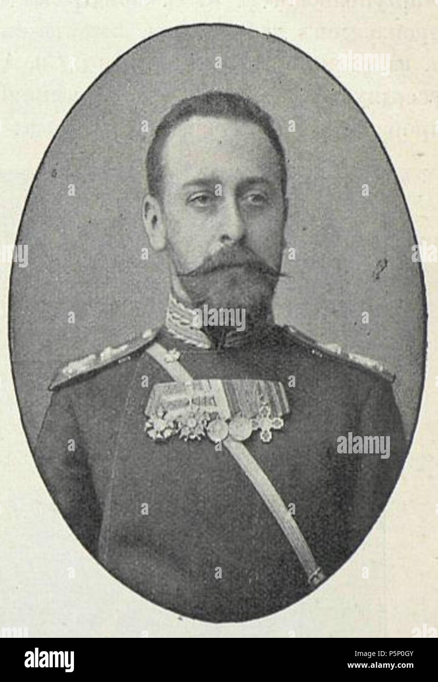 N/A. Englisch: Die tatsächliche Staatsrat des Russischen Reiches Sergey Biryukov. :. Vor 1917. Unbekannt 206 Biryukov SI Stockfoto