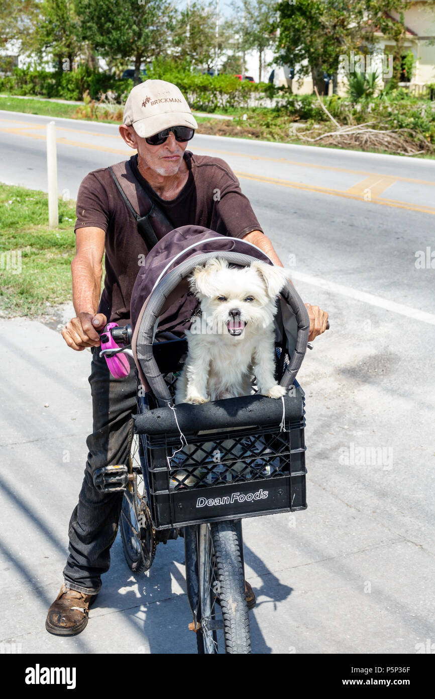 Immokalee Florida, Senioren alte Bürger Rentner Rentner Rentner Rentner ältere Senioren, Erwachsene Erwachsene Mann Männer männlich, Reiten Fahrrad, Haustier Haustiere Hund Hunde, Stockfoto