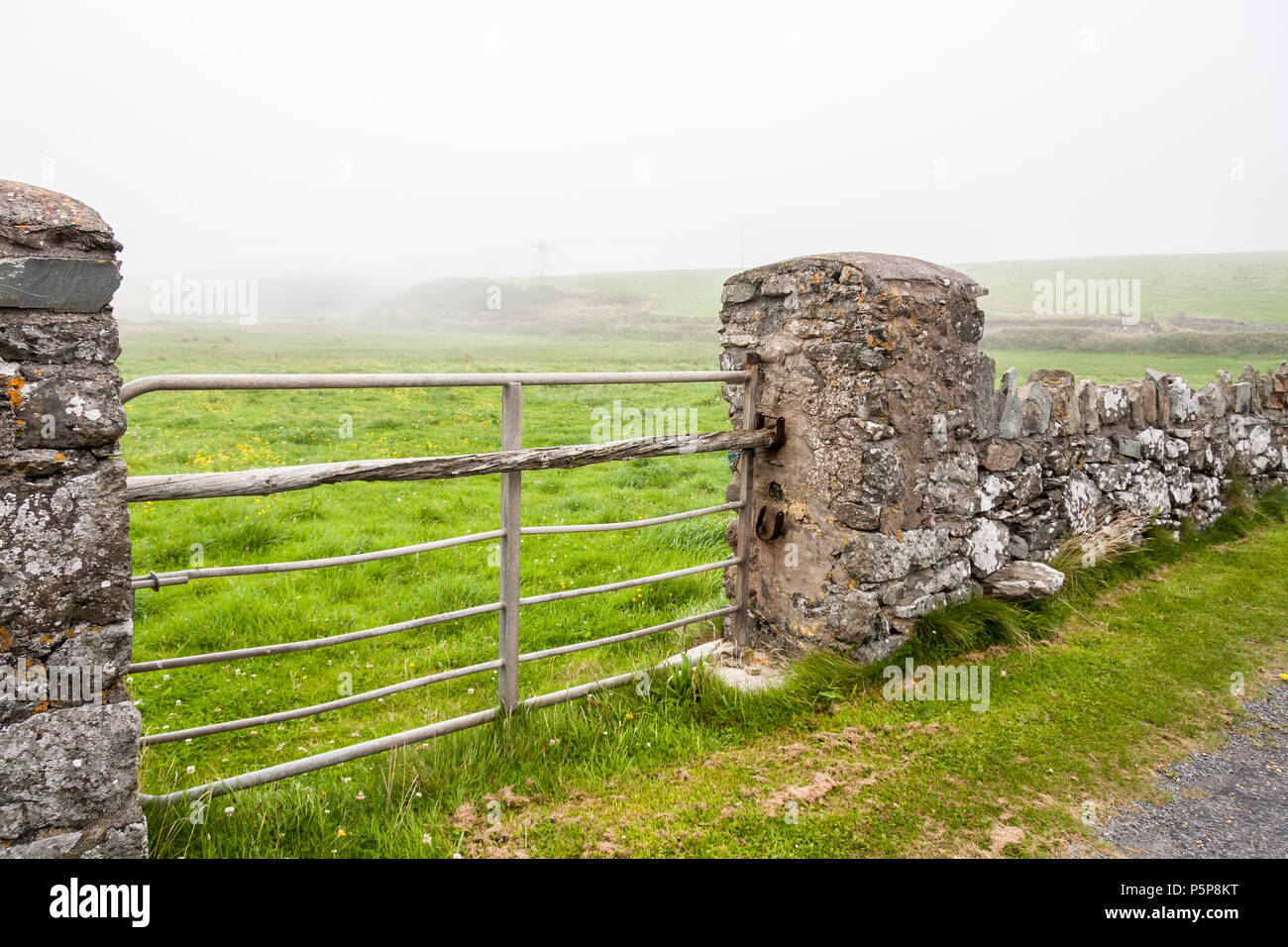 Steinmauer und Tor in Nebel Nebel Annestown Irland Stockfoto