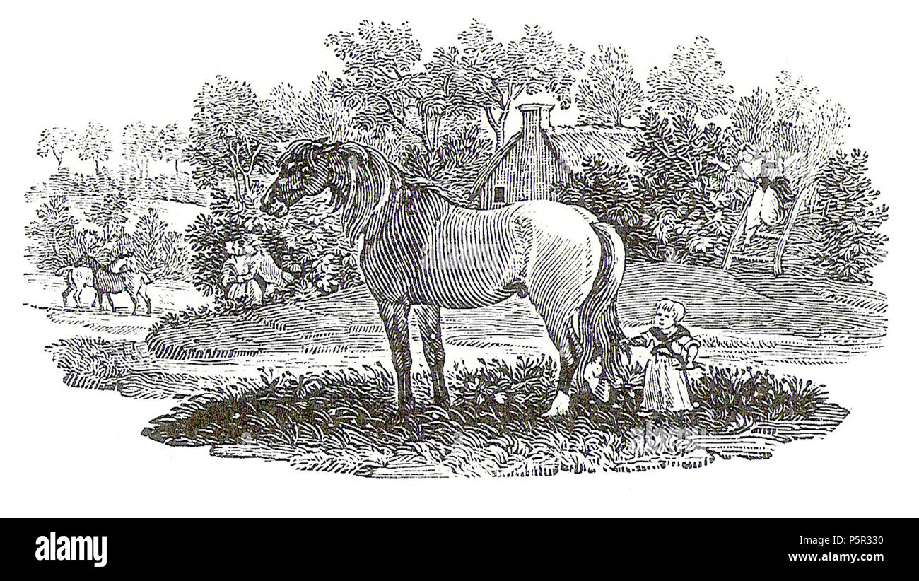 N/A. Ein Schwanz-Stück von der allgemeinen Geschichte der Vierbeiner (2. Auflage). Austin Dobson (1840-1921), der Dichter und Biograph, beschreibt es so: "Der angeschlagene Kind, dessen Schwester im Hintergrund zu sehen ist, hat sich in der Wiese abgekommen, und zieht an den Schwanz eines schändlichen - Colt, mit Rücken drehte sich Auge und hob in der Ferse. Den Garten hinunter - Schritte die Mutter eilt kopfüber; aber sie kann kaum in der Zeit" (in Andrew Lang, die Bibliothek, Kapitel V). 1791. Thomas Bewick 196 Bewick Saitenhalter 1791 Stockfoto