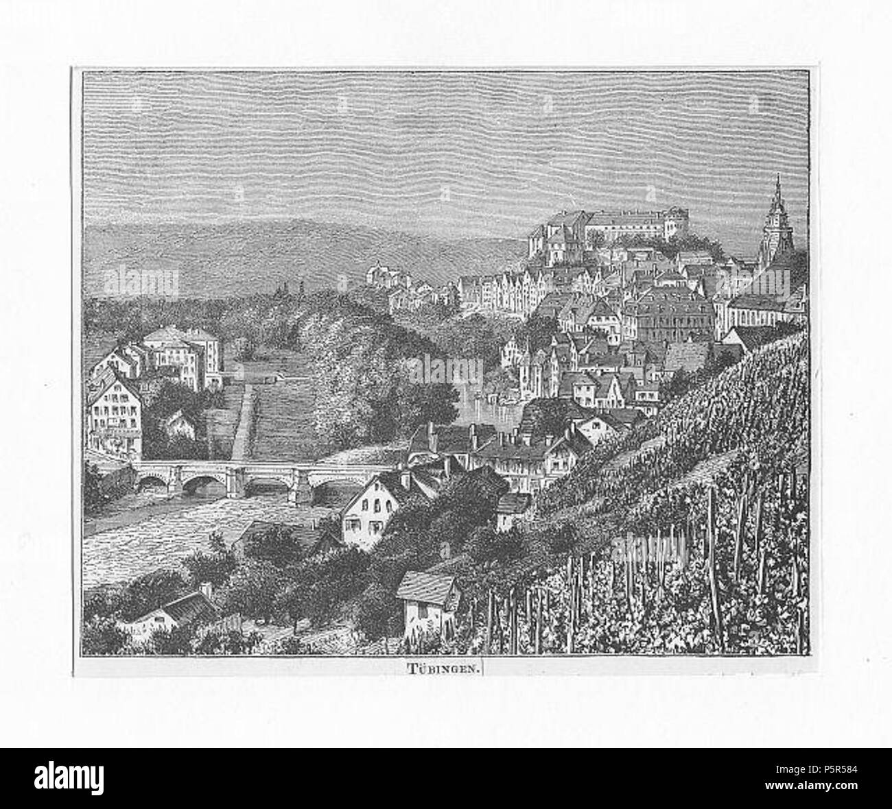210 Blick vom südlichen Österberg in Tübingen Holzstich ca. 1880 Stockfoto