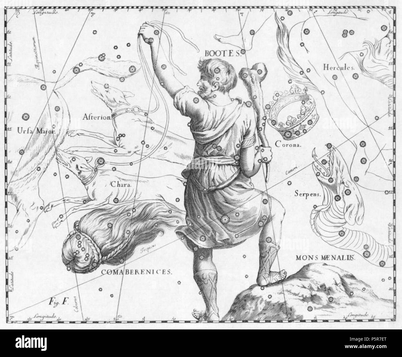N/A. Die en: Bärenhüter und en: Coma Berenices Konstellationen. Die Aussicht ist gespiegelt in der Tradition der Himmelsgloben, zeigt die Himmelskugel in einer Ansicht von "außen". 1690. Johannes Hevelius - gescannt von: Torsten Bronger 2003 April 4 224 Bootes Stockfoto