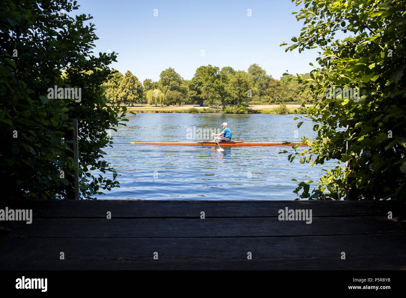 Rower Sculling Auf der Themse bei Henley on Thames in Oxfordshire UK Stockfoto