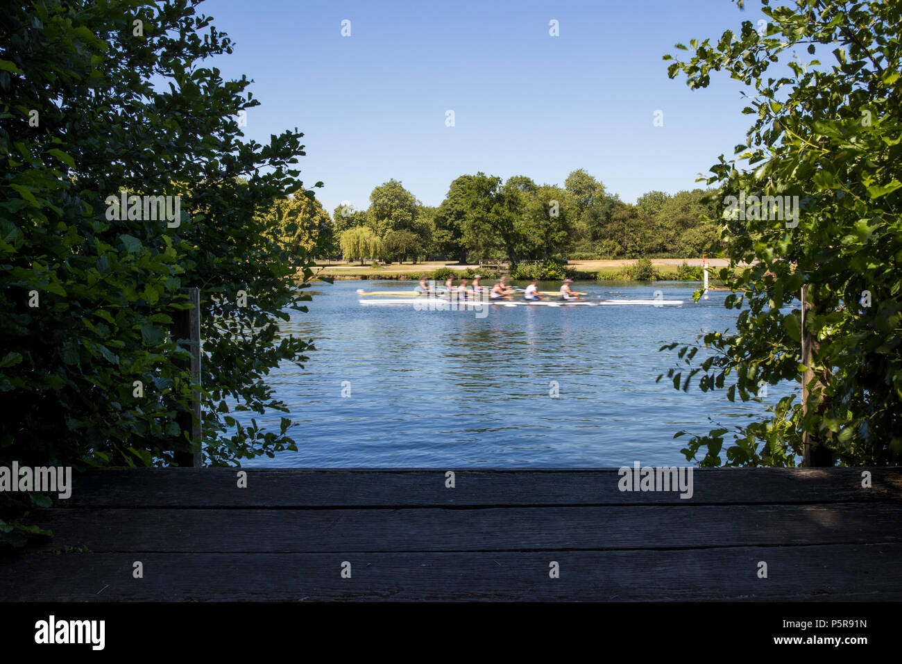 Zwei Teams von Ruderern Racing auf der Themse bei Henley on Thames in Oxfordshire UK Stockfoto