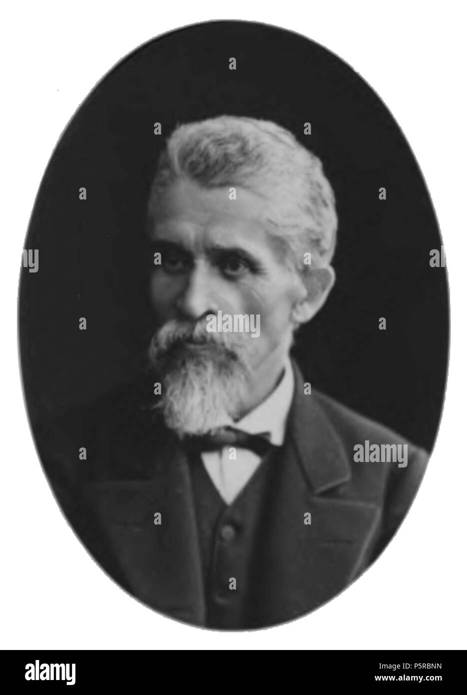 241 Bronisław Zaleski, Porträt Stockfoto