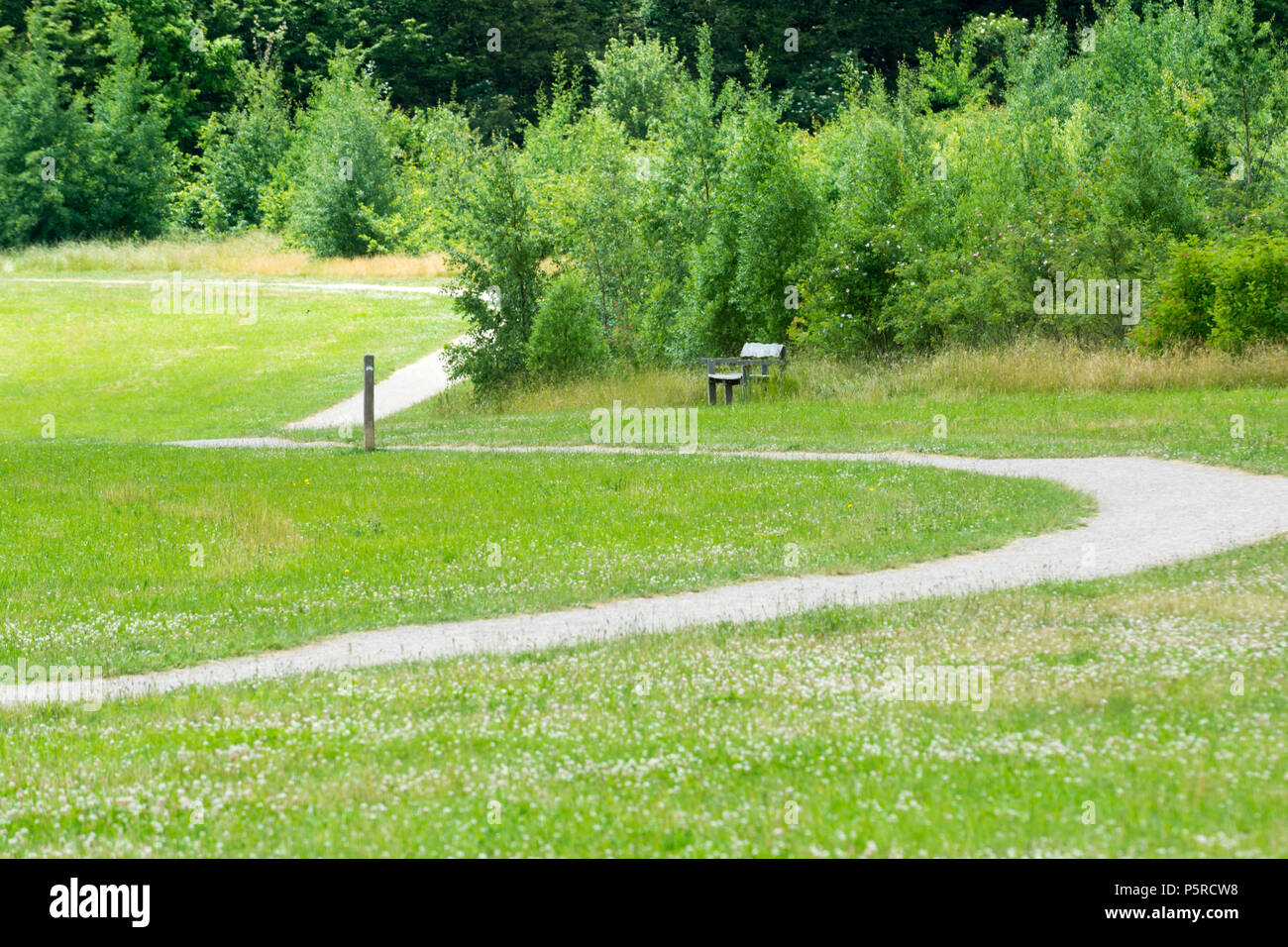 Radweg durch ein Land, Park Stockfoto