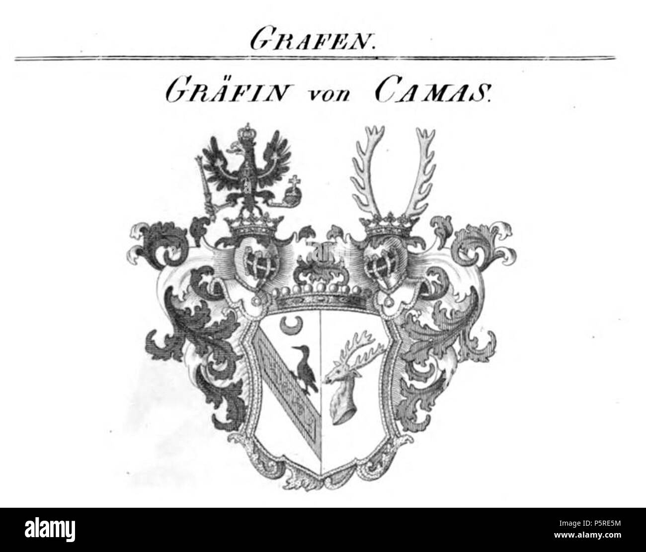 N/A. Wappen Camas - Dieckmann HA.jpg. zwischen 1846 und 1865. Unbekannt 264 Schlafplätze - Dieckmann HA Stockfoto