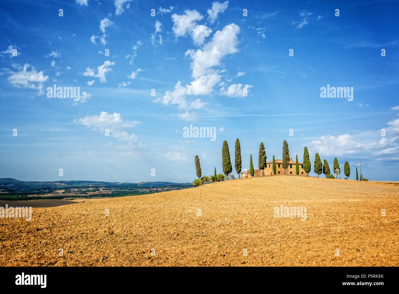 Typische Landschaft von einem Bauernhof mit einer Reihe von Zypressen in der Toskana, Italien Stockfoto