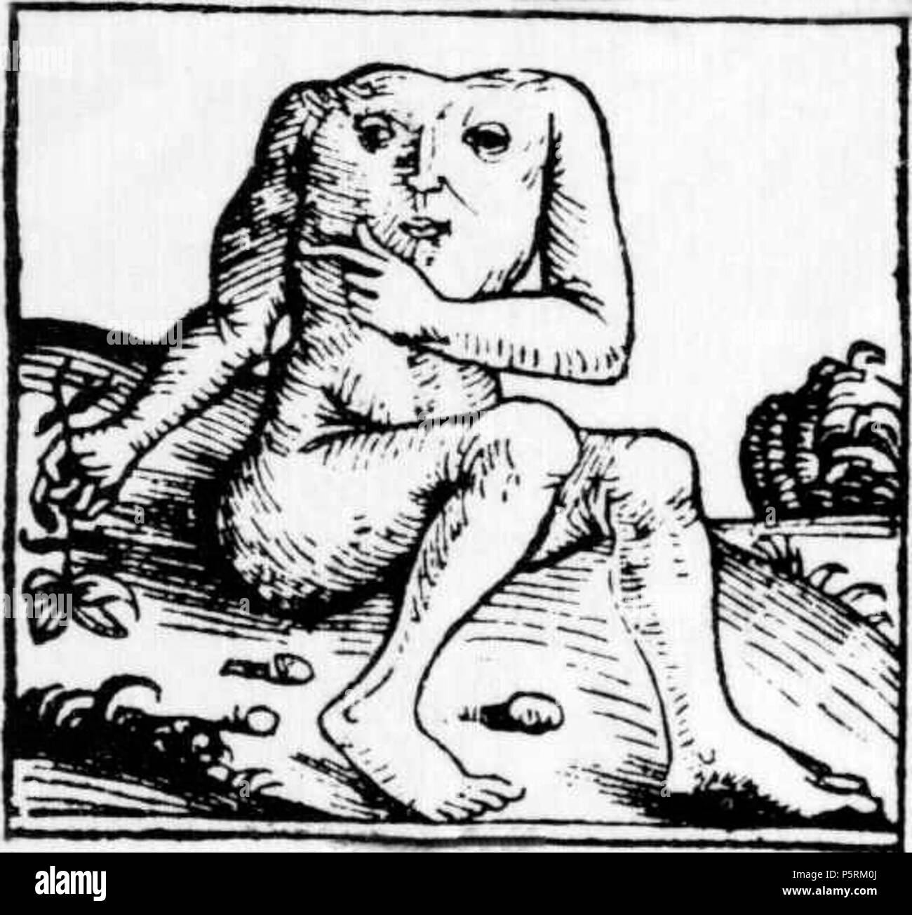 N/A. Deutsch: Dies ist ein Ausschnitt aus Seite 12 des historischen Buches: Deutsch: Dies ist ein Ausschnitt aus Seite 12 der historischen Dokument: Titel: Schedelsche Weltchronik. 1493. Hartmann Schedel 209 BlemmyerSchedelsche Weltchronik d012 Stockfoto