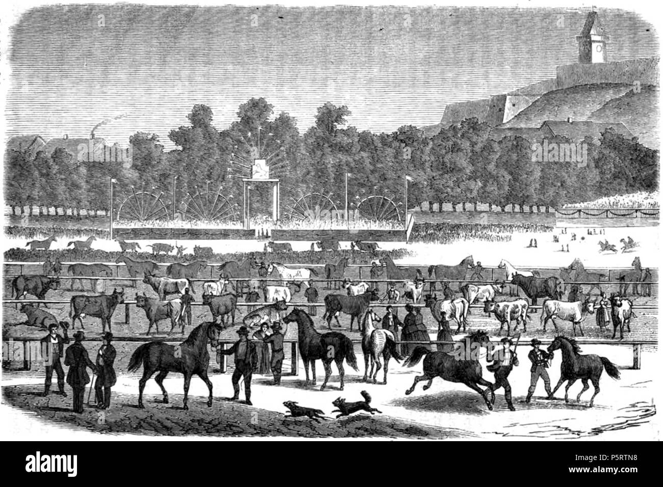 N/A. Landwirthschaftliche Ausstellung in Gratz. 1863. Unbekannt 414 Das festliche Jahr img 311 Landwirthschaftliche Ausstellung in Gratz Stockfoto