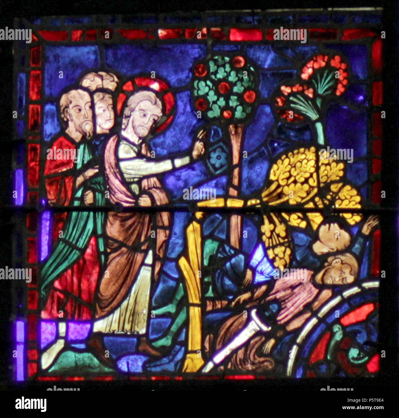 N/A. Das Leben des Hl. Martin - Chartres - untere Paneel. Michelet - (Talk) 06:24, 17. Dezember 2016 (UTC) 333 Chartres-020 B2 Stockfoto