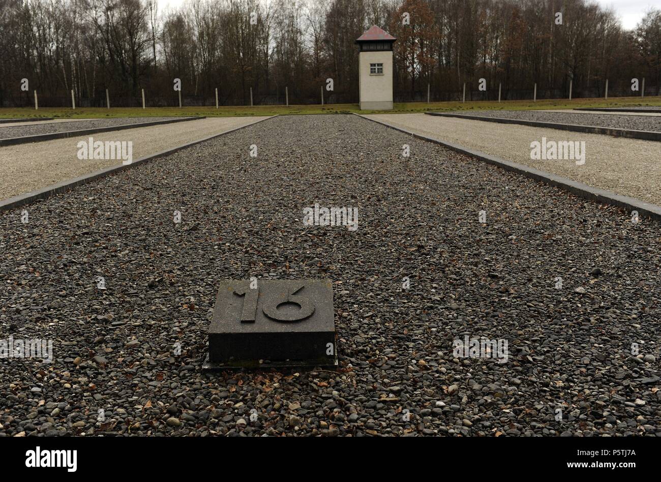 Kz Dachau. Ns-Lager von Gefangenen in 1933 geöffnet. Dort, wo die Baracken waren. Beton-fundament Markieren der Position von Baracke 16. Deutschland. Stockfoto