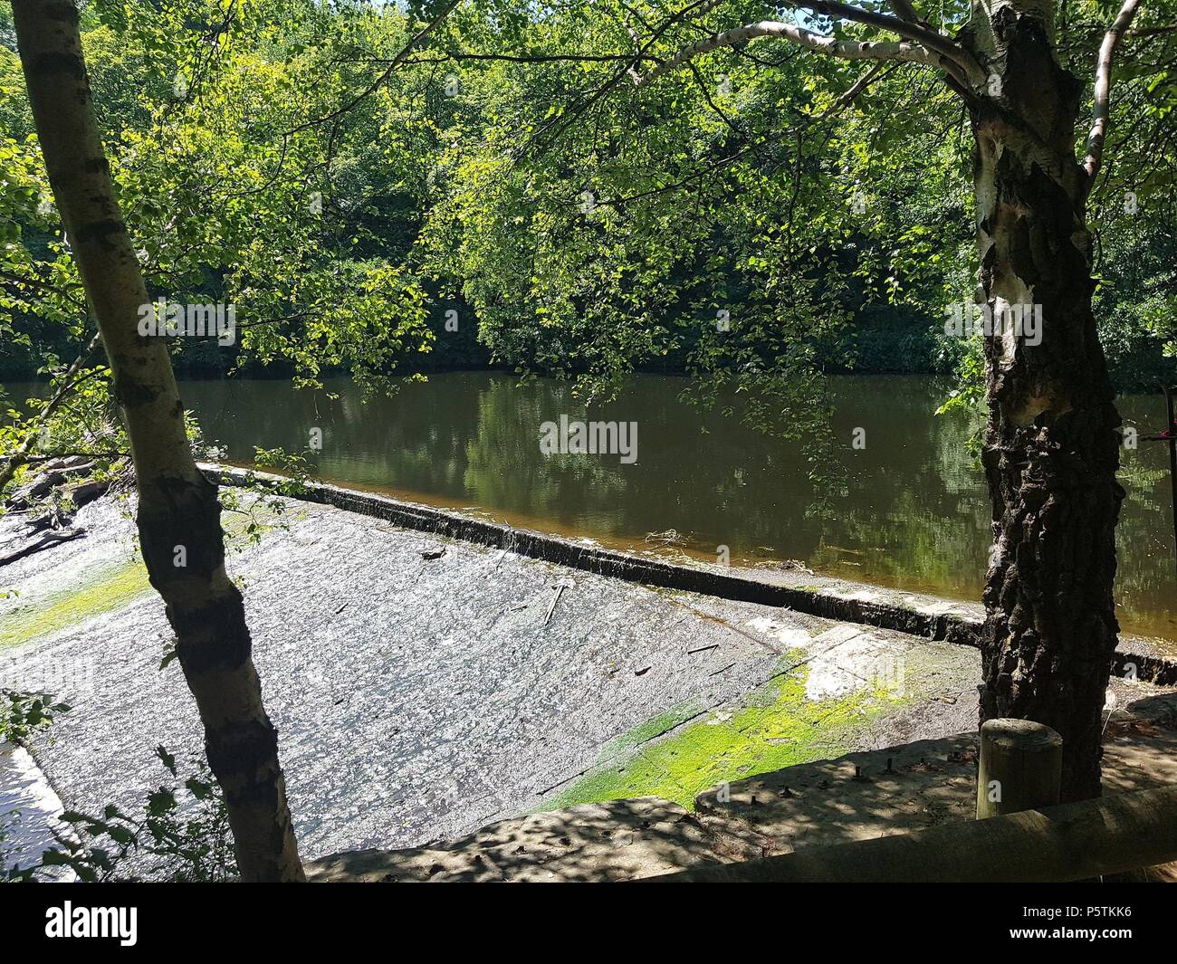 Ein Abschnitt des Flusses Aire in Leeds, die vorher abgesperrt wurde, nachdem ein Jugendlicher Schwimmer nach Schwierigkeiten im Wasser enthalten. Stockfoto