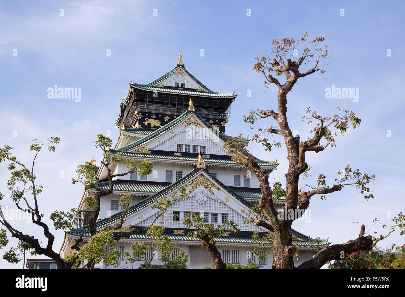 Burg von Osaka Stockfoto