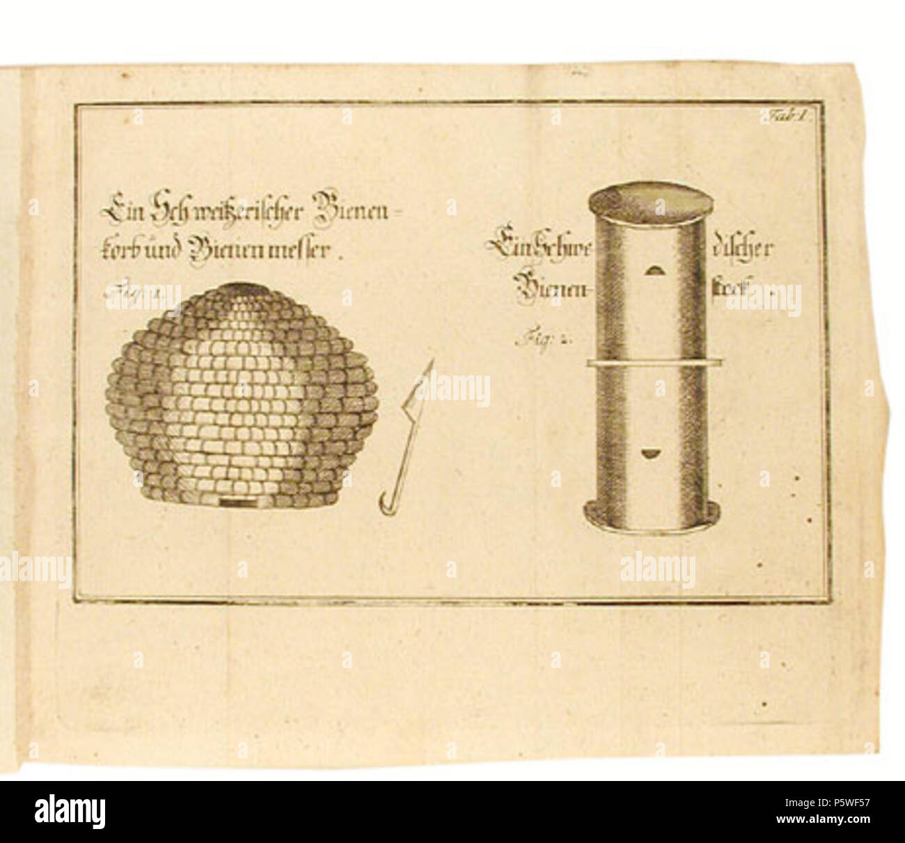 N/A. Die Platte von der Naturgeschichte, Klassifikation und Nomenklatur der Kämpfen vom Bienen,.... 1791. Johann Ludwig Christ (1739-1813) 342 Christus 21. Stockfoto