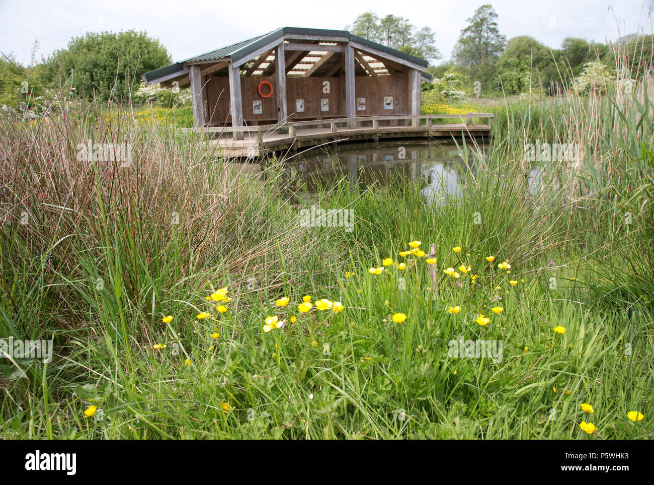 Informationen Zentrum für Teich tauchen Seaton Feuchtgebiete East Devon UK Stockfoto